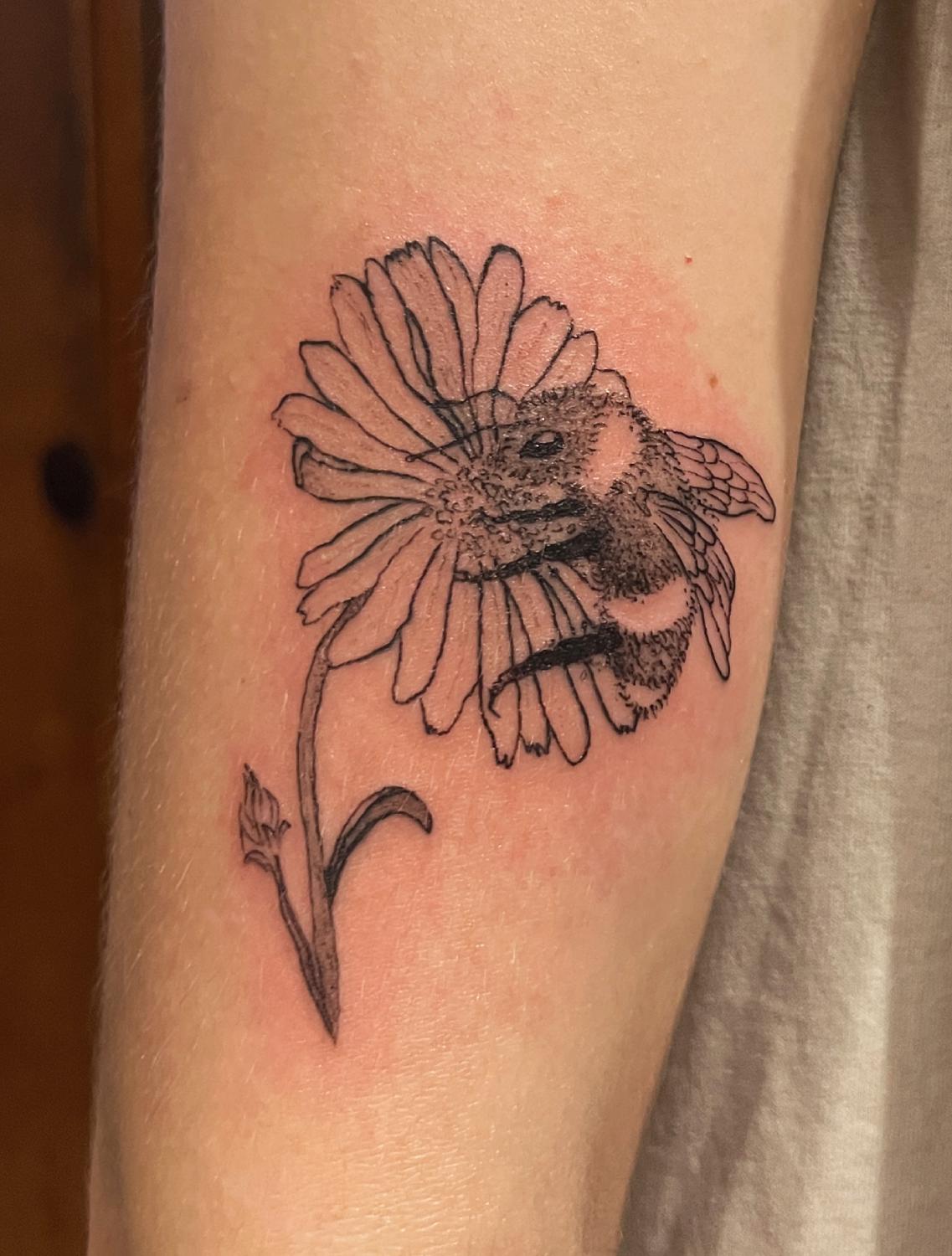 Aster Bee