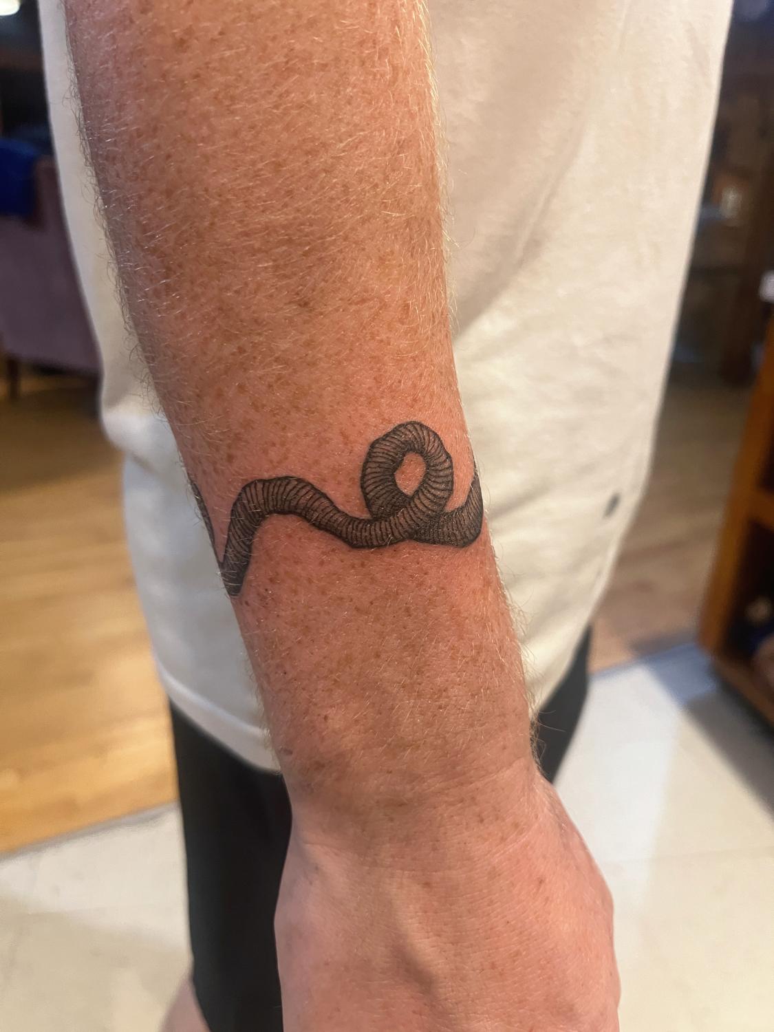 Worm