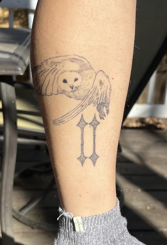 Owl 3